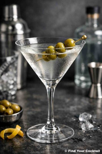 a martini glass with a gin martini and garnished with olives.