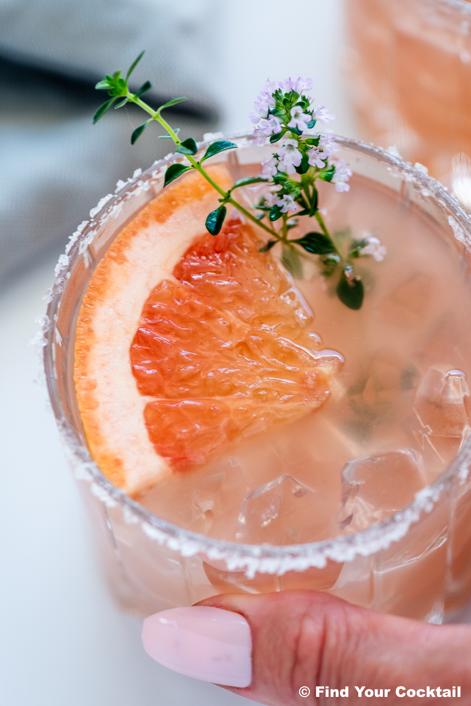 A glass of pink cocktail with ice, garnished with a grapefruit slice and small flowering herb, and a salt rim. A hand with pale pink nail polish holds the glass.