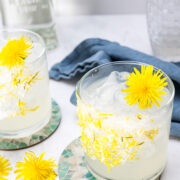 Two glasses of iced cocktails garnished with yellow dandelion flowers sit on patterned coasters, with a blue napkin and a bottle in the background.