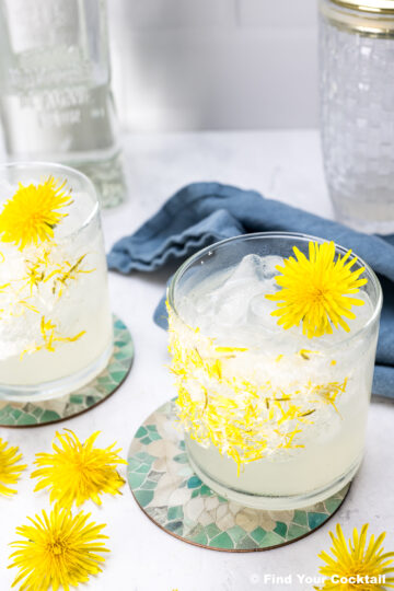 Two glasses of iced cocktails garnished with yellow dandelion flowers sit on patterned coasters, with a blue napkin and a bottle in the background.