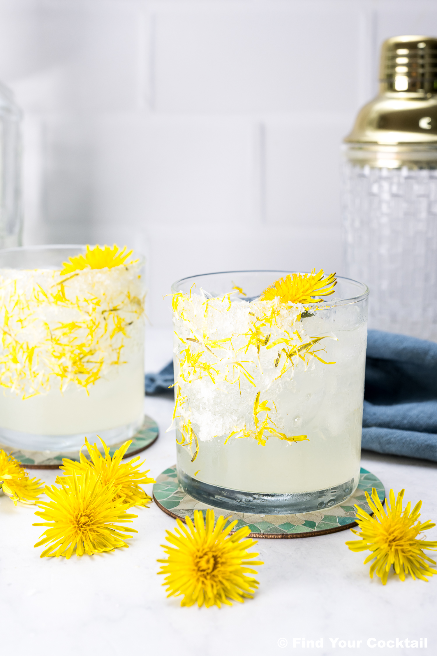 Two glasses of a light yellow cocktail with crushed ice, decorated with dandelion petals, sit on coasters next to fresh dandelion flowers and a cocktail shaker.