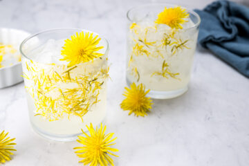 Two glasses of iced lemonade with dandelion petals on the rims and dandelion flowers as garnish, placed on a marble surface.