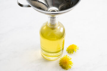 A metal funnel is placed on a glass bottle filled with yellow liquid, with two yellow dandelion flowers next to the bottle on a white surface.