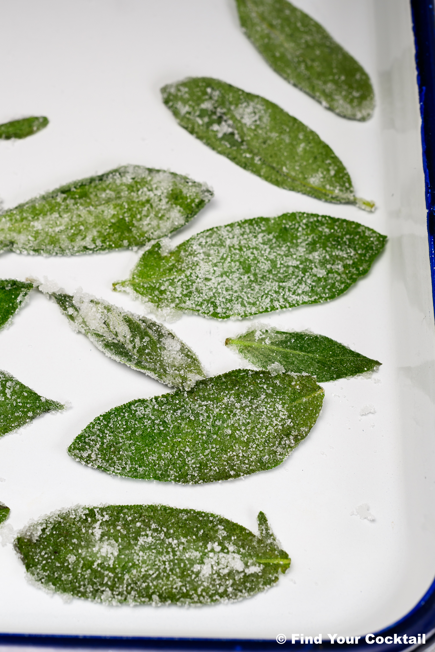 Green leaves coated with sugar crystals are arranged on a white tray.