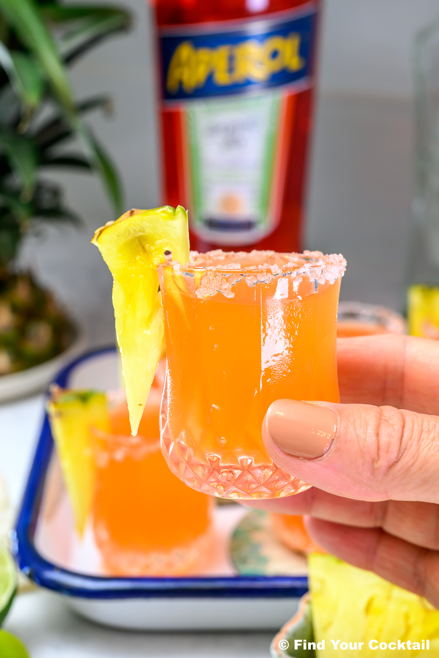 A hand holds a glass of orange cocktail with a salted rim and a pineapple wedge garnish; a bottle of Aperol is visible in the background.