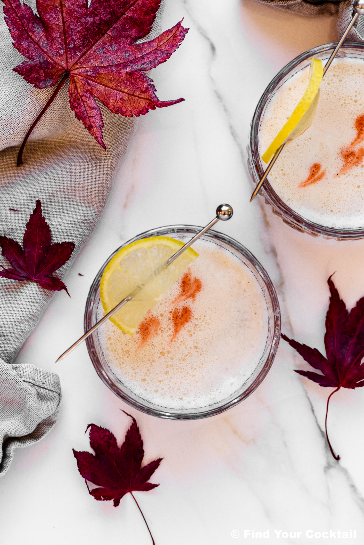 Two cocktails with a lemon slice and frothy top, garnished with bitters, are placed on a white marble surface with red autumn leaves scattered around.